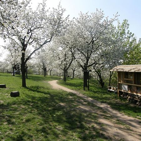 Ubytovna Toulcuv Dvur Praga Exterior foto