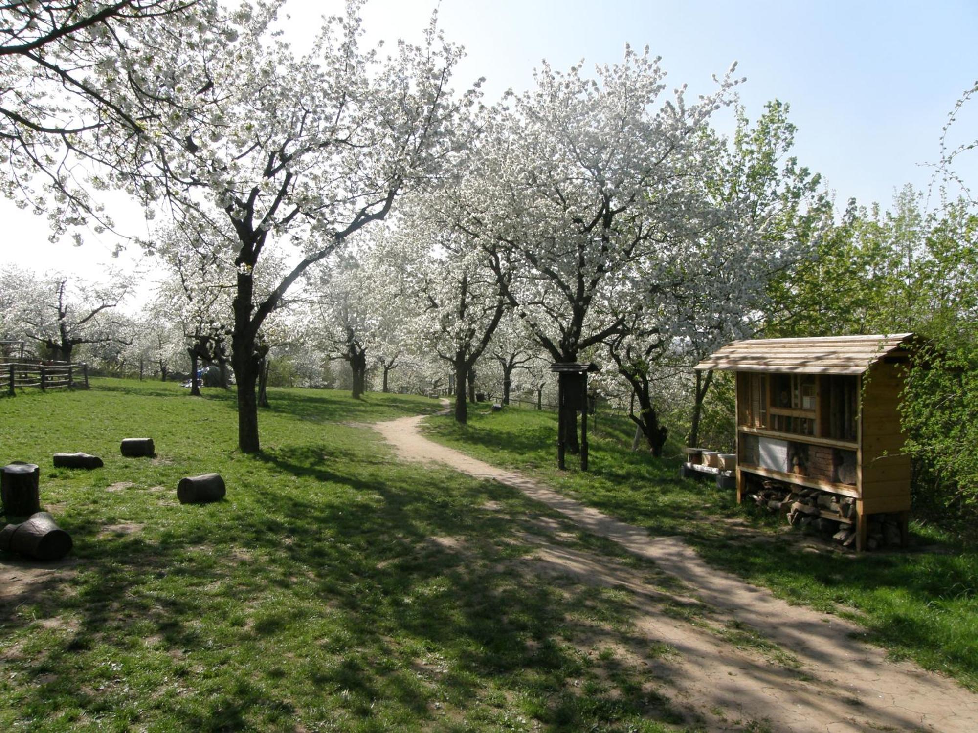 Ubytovna Toulcuv Dvur Praga Exterior foto