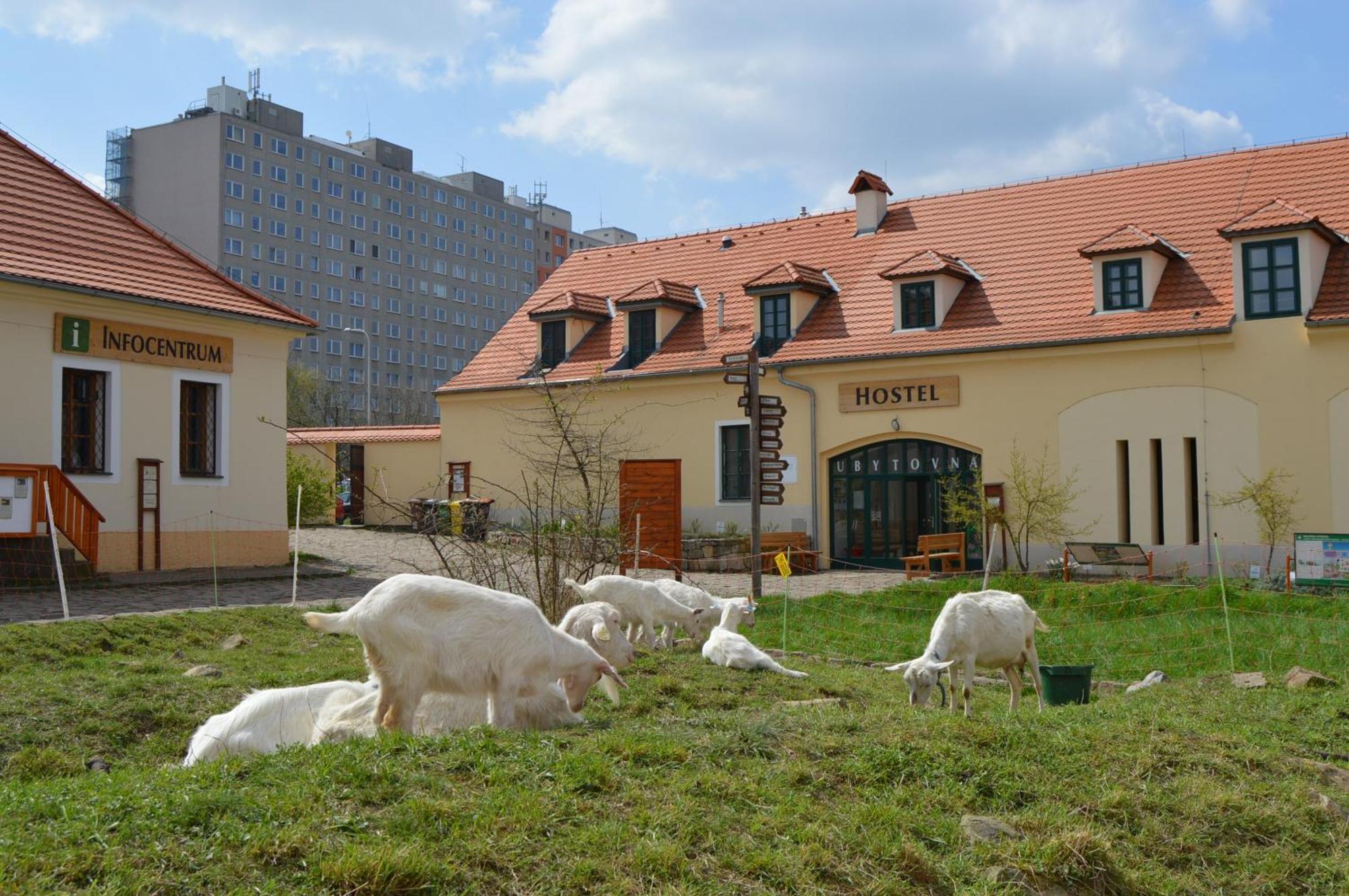 Ubytovna Toulcuv Dvur Praga Exterior foto